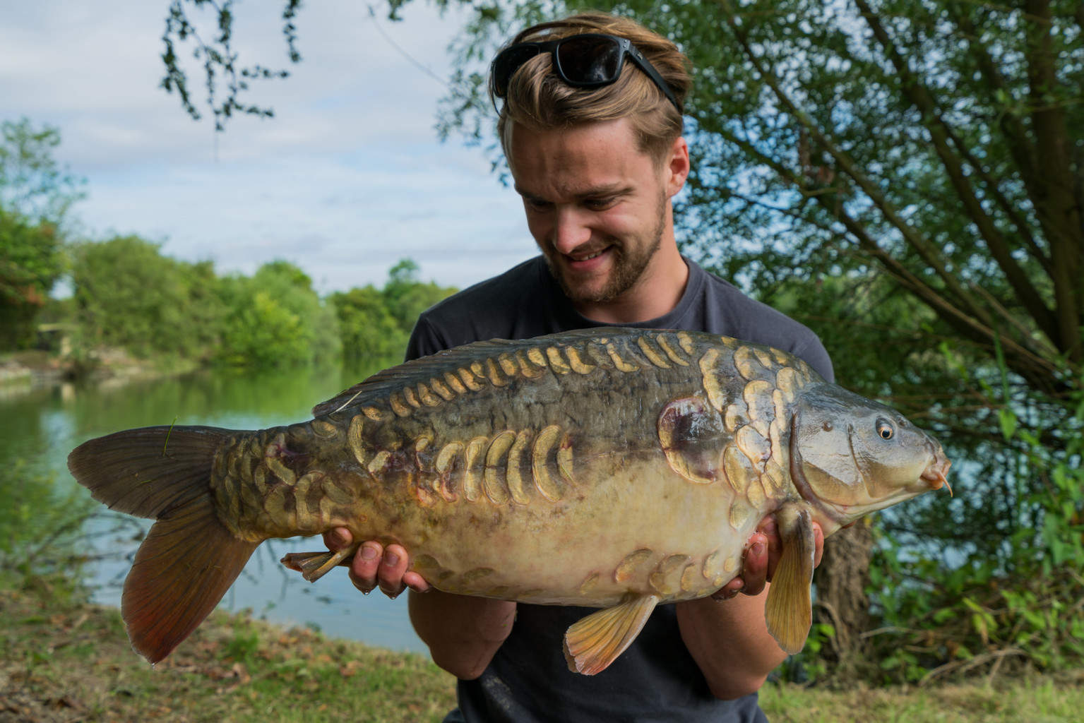 Royston Lakes Wood Lake