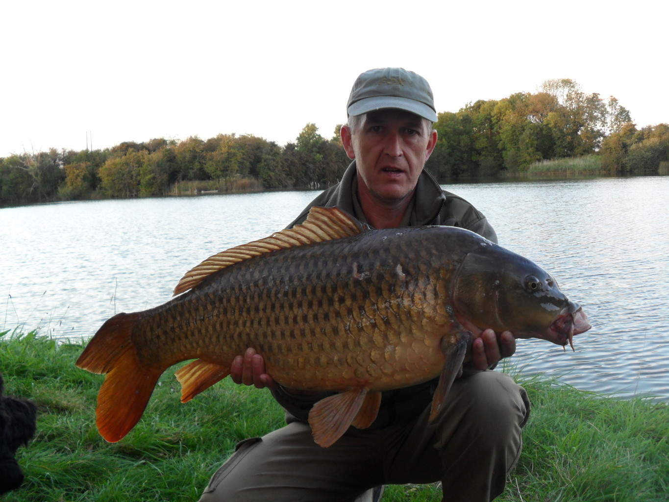 Royston Lakes Wood Lake carp fishing lake